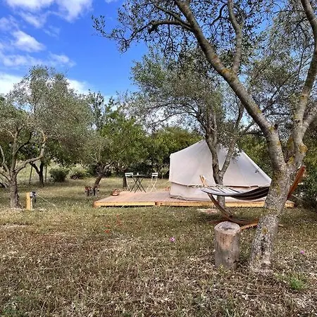 La In Land - Between Olives And Almonds *